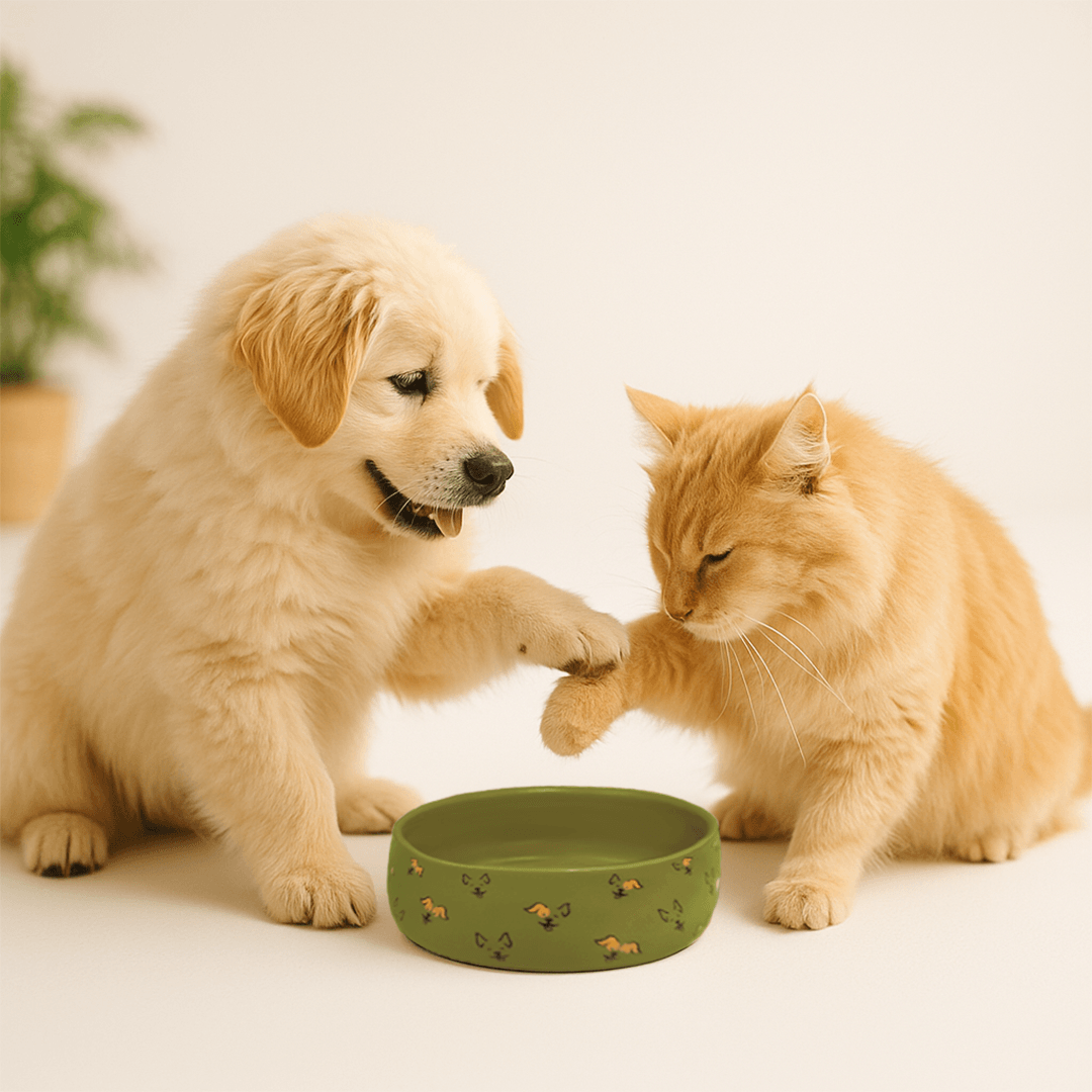 Petcocious 5 Inch Javi Pet Bowl Olive - (Set of 2)