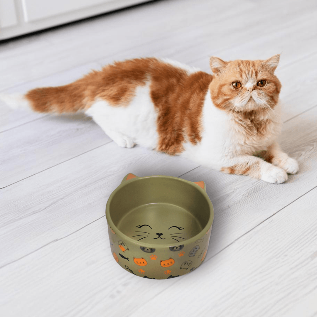 Petcocious 5 Inch Kate Cat Bowl Gray - (Set of 2)