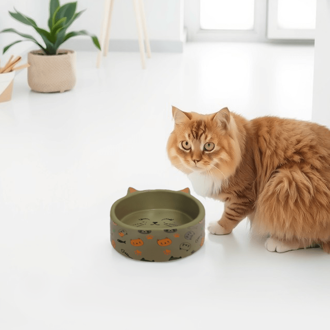 Petcocious 5 Inch Kate Cat Bowl Gray - (Set of 2)