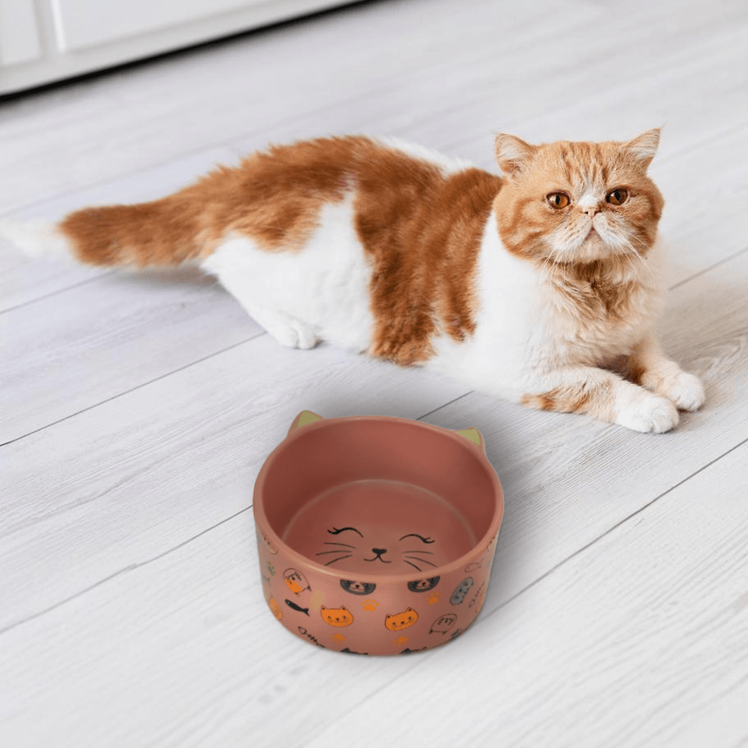 Petcocious 5 Inch Kate Cat Bowl Pink - (Set of 2)