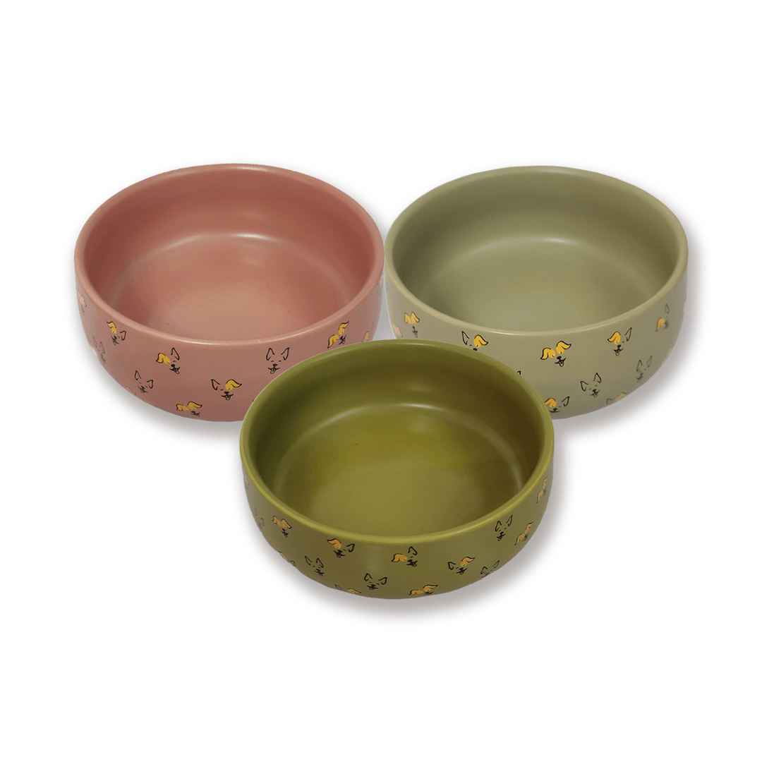 Petcocious Javi Pet Bowls
