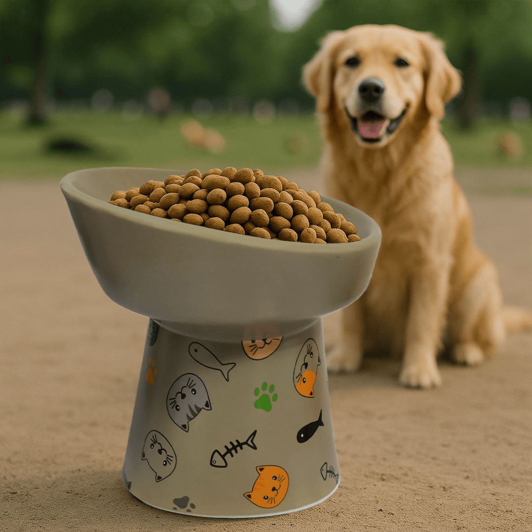 Petcocious 5 Inch Aubrey Elevated Pet Bowl Gray  - (Set of 2)