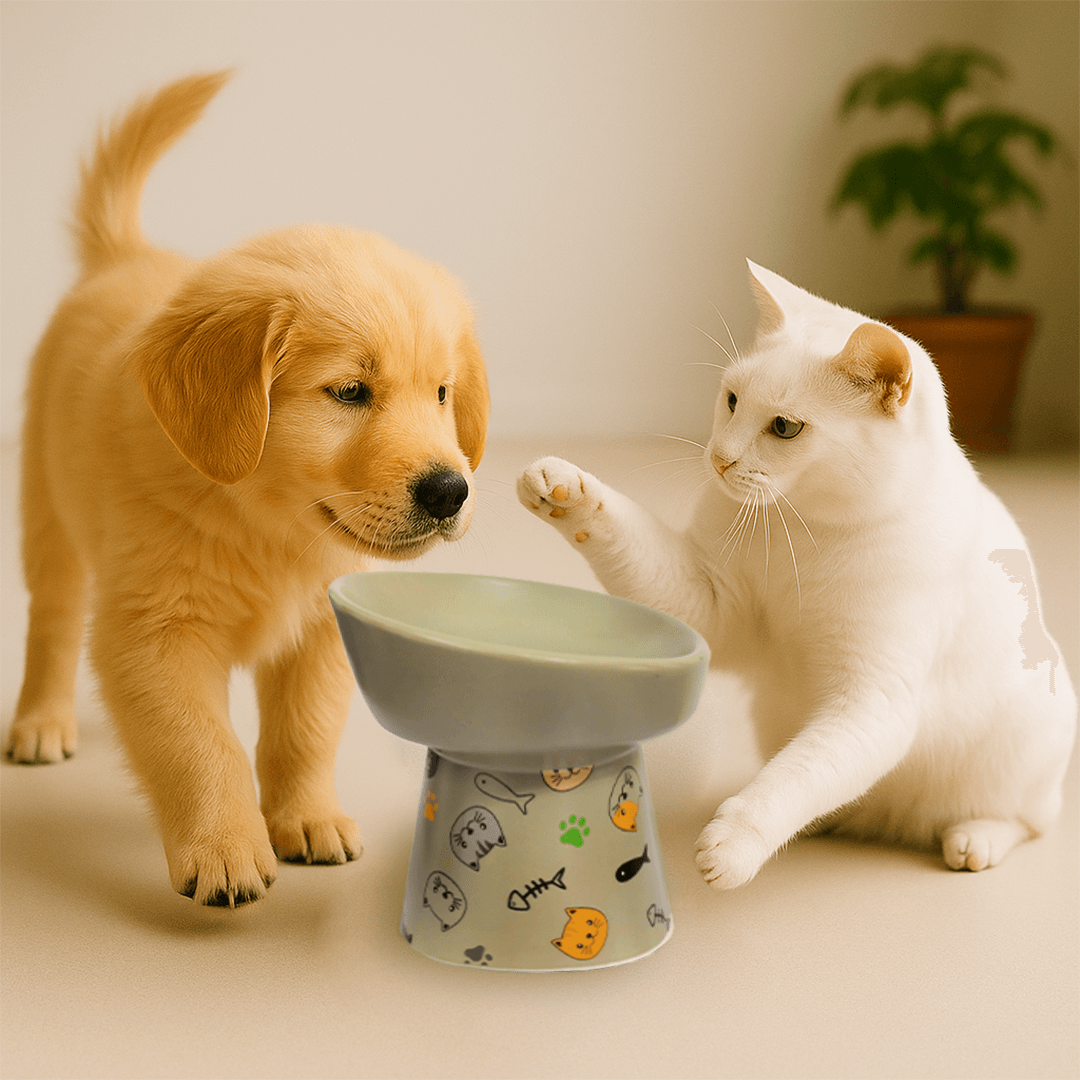 Petcocious 5 Inch Aubrey Elevated Pet Bowl Gray  - (Set of 2)