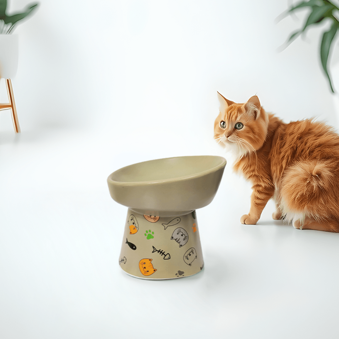 Petcocious 5 Inch Aubrey Elevated Pet Bowl Gray  - (Set of 2)