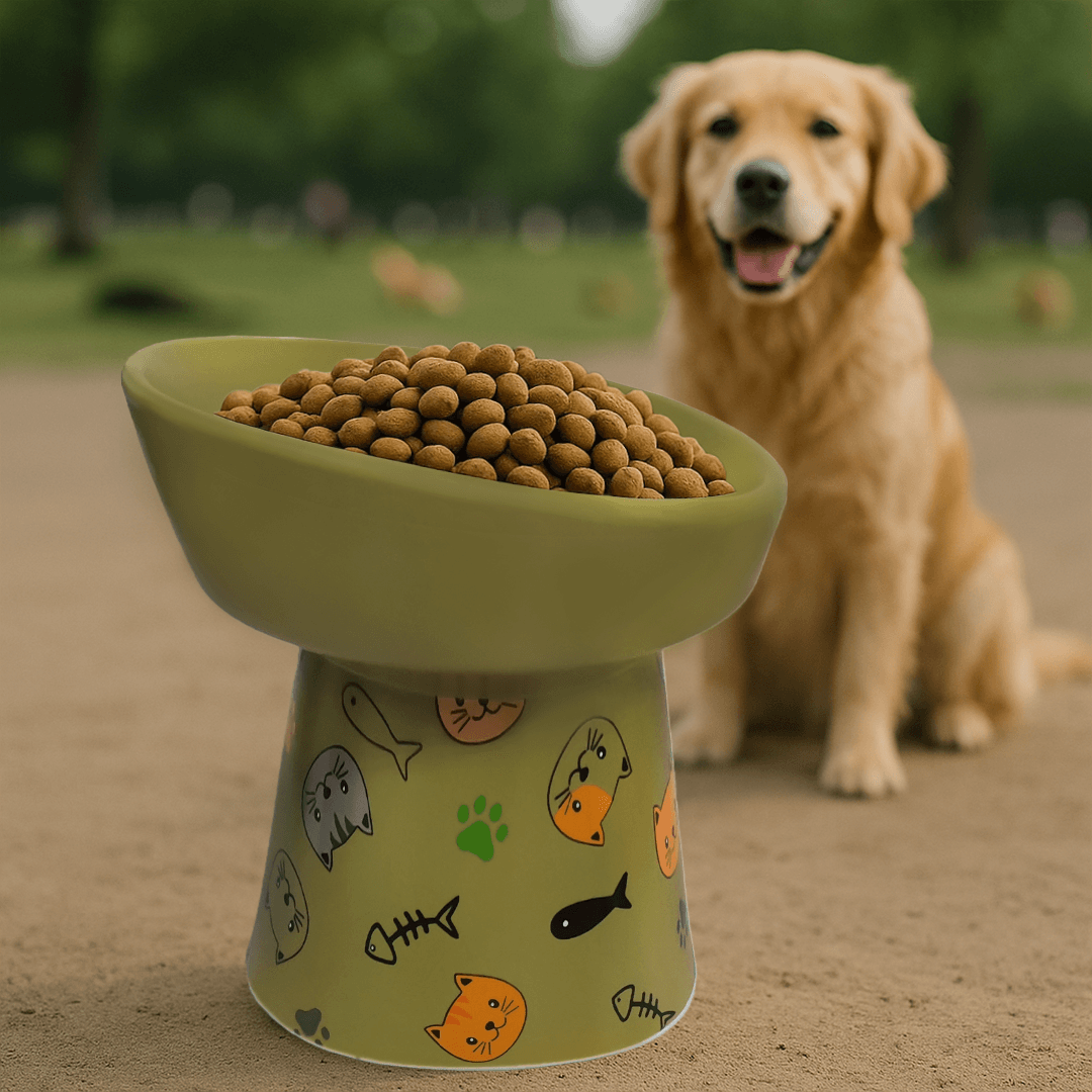 Petcocious 5 Inch Aubrey Elevated Pet Bowl Olive  - (Set of 2)