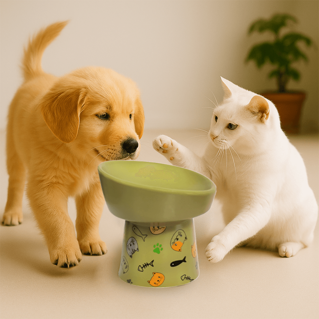 Petcocious 5 Inch Aubrey Elevated Pet Bowl Olive  - (Set of 2)