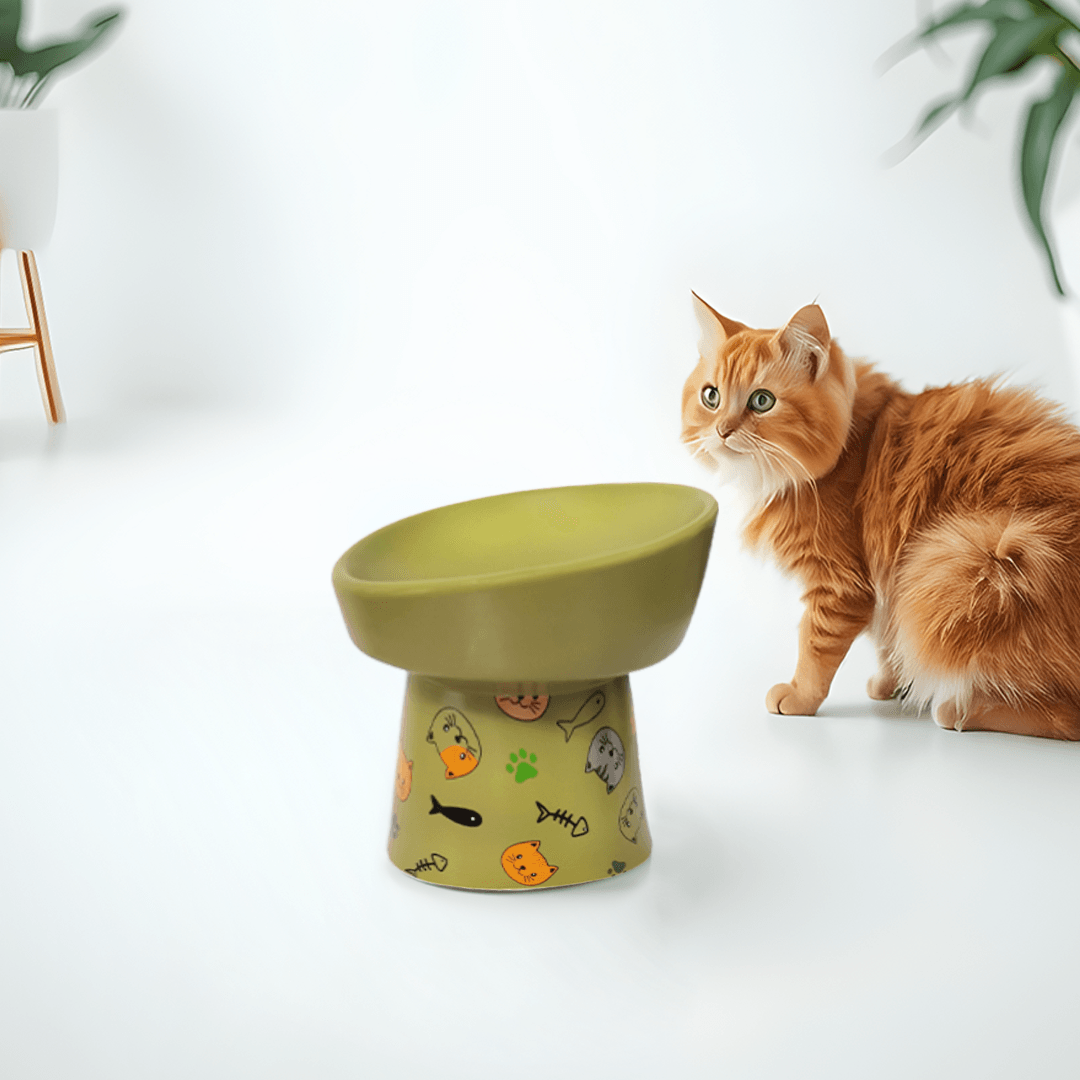 Petcocious 5 Inch Aubrey Elevated Pet Bowl Olive  - (Set of 2)