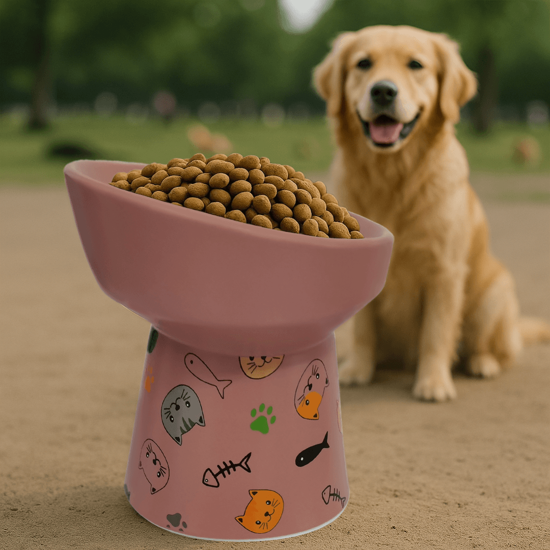 Petcocious 5 Inch Aubrey Elevated Pet Bowl Pink  - (Set of 2)