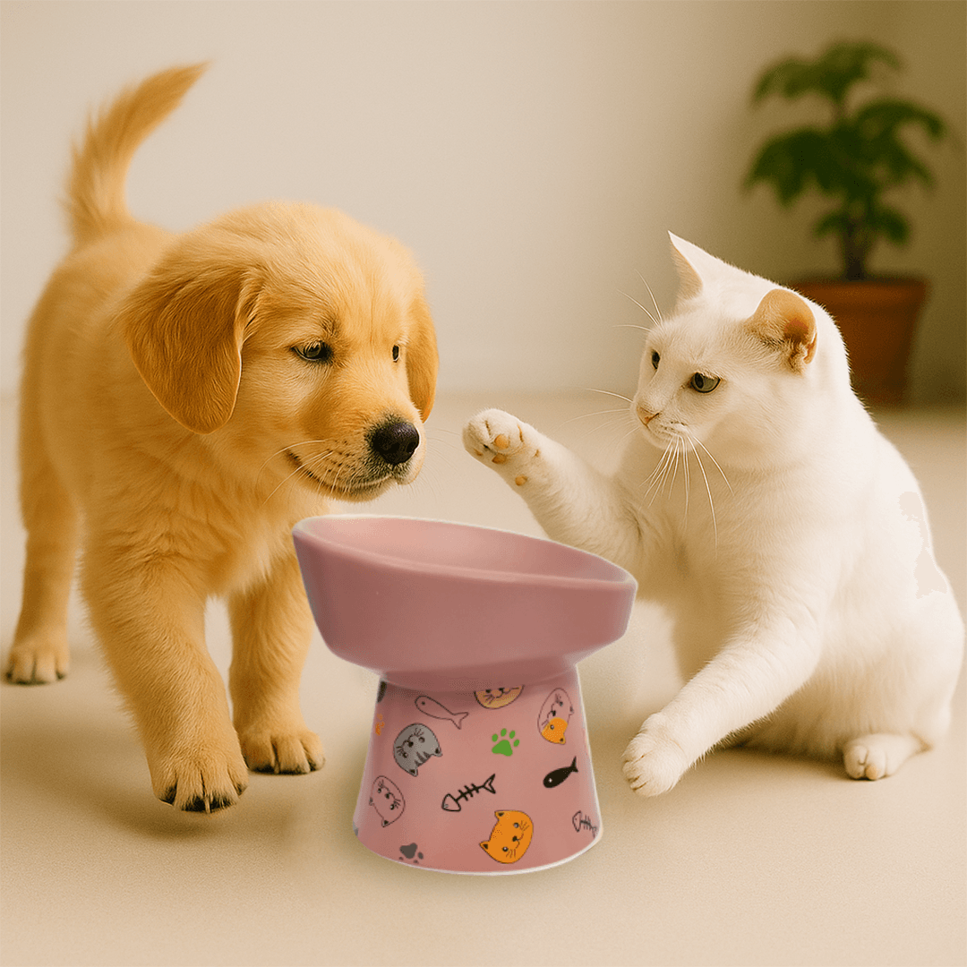 Petcocious 5 Inch Aubrey Elevated Pet Bowl Pink  - (Set of 2)