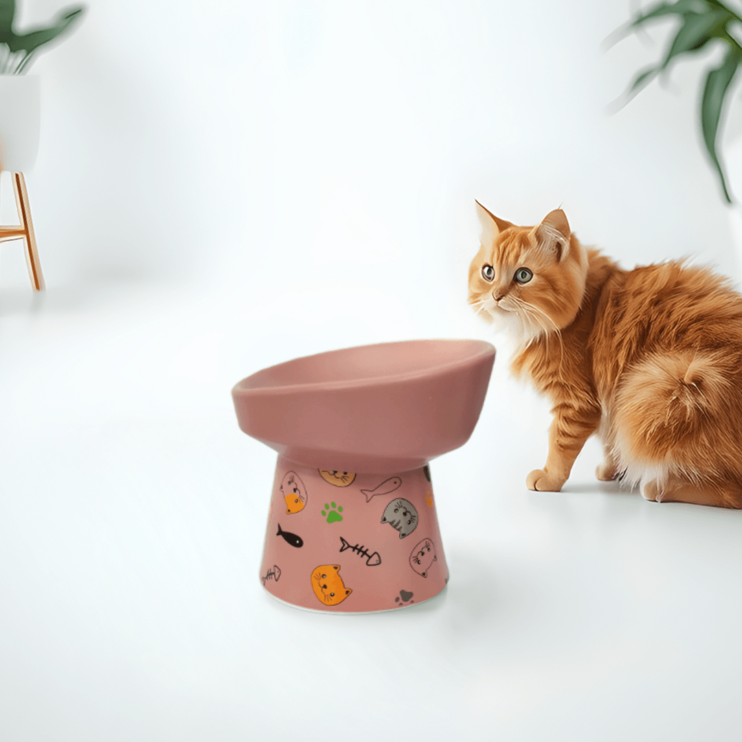 Petcocious 5 Inch Aubrey Elevated Pet Bowl Pink  - (Set of 2)