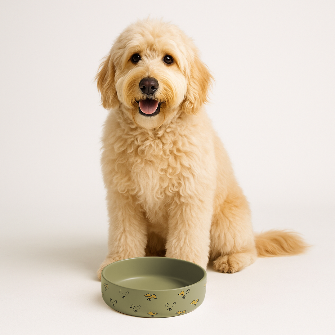 Petcocious 5 Inch Javi Pet Bowl Gray - (Set of 2)