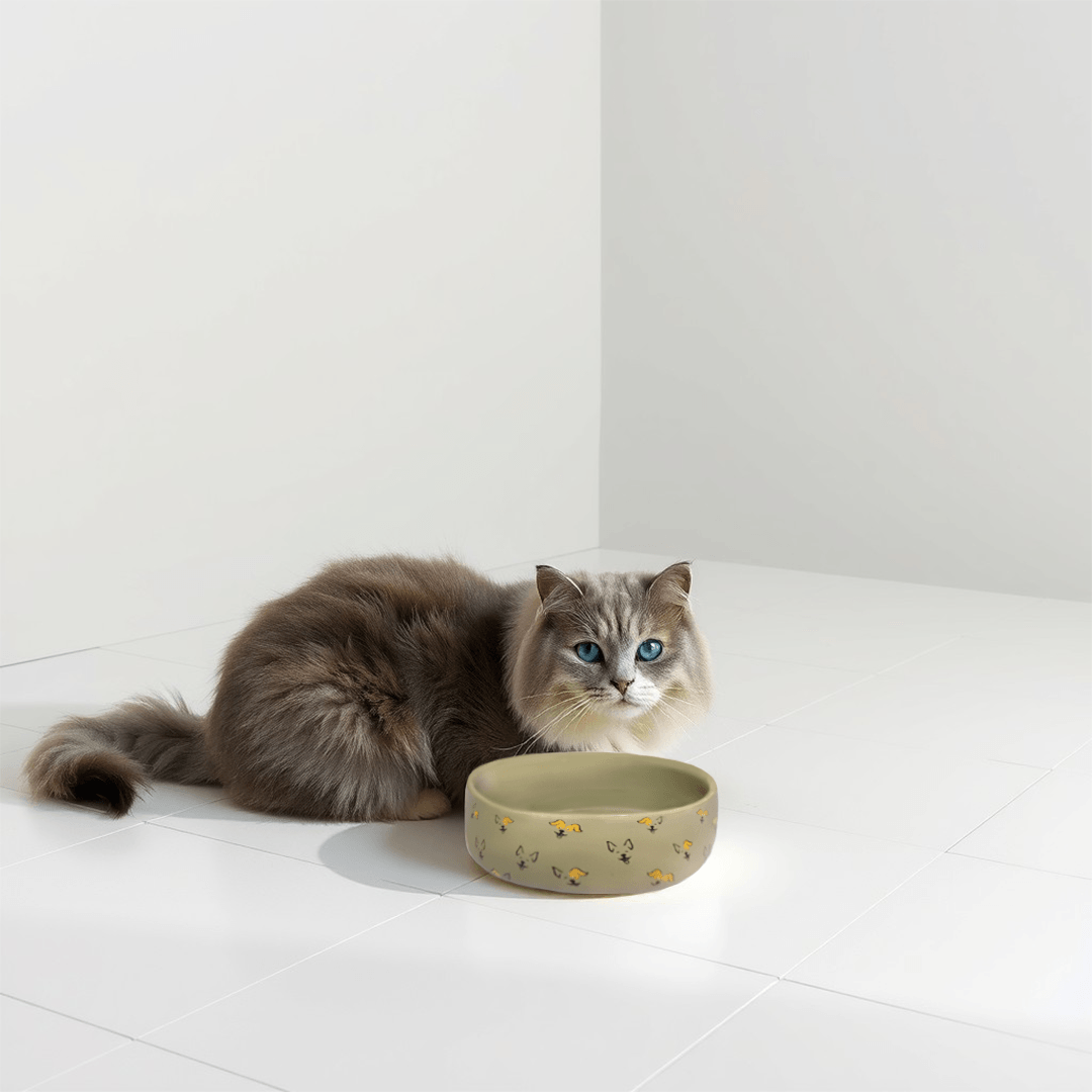 Petcocious 5 Inch Javi Pet Bowl Gray - (Set of 2)