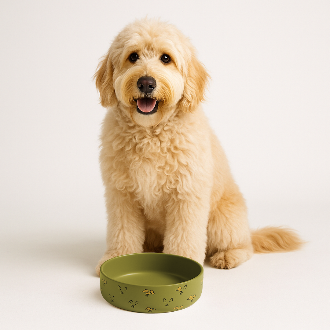 Petcocious 5 Inch Javi Pet Bowl Olive - (Set of 2)