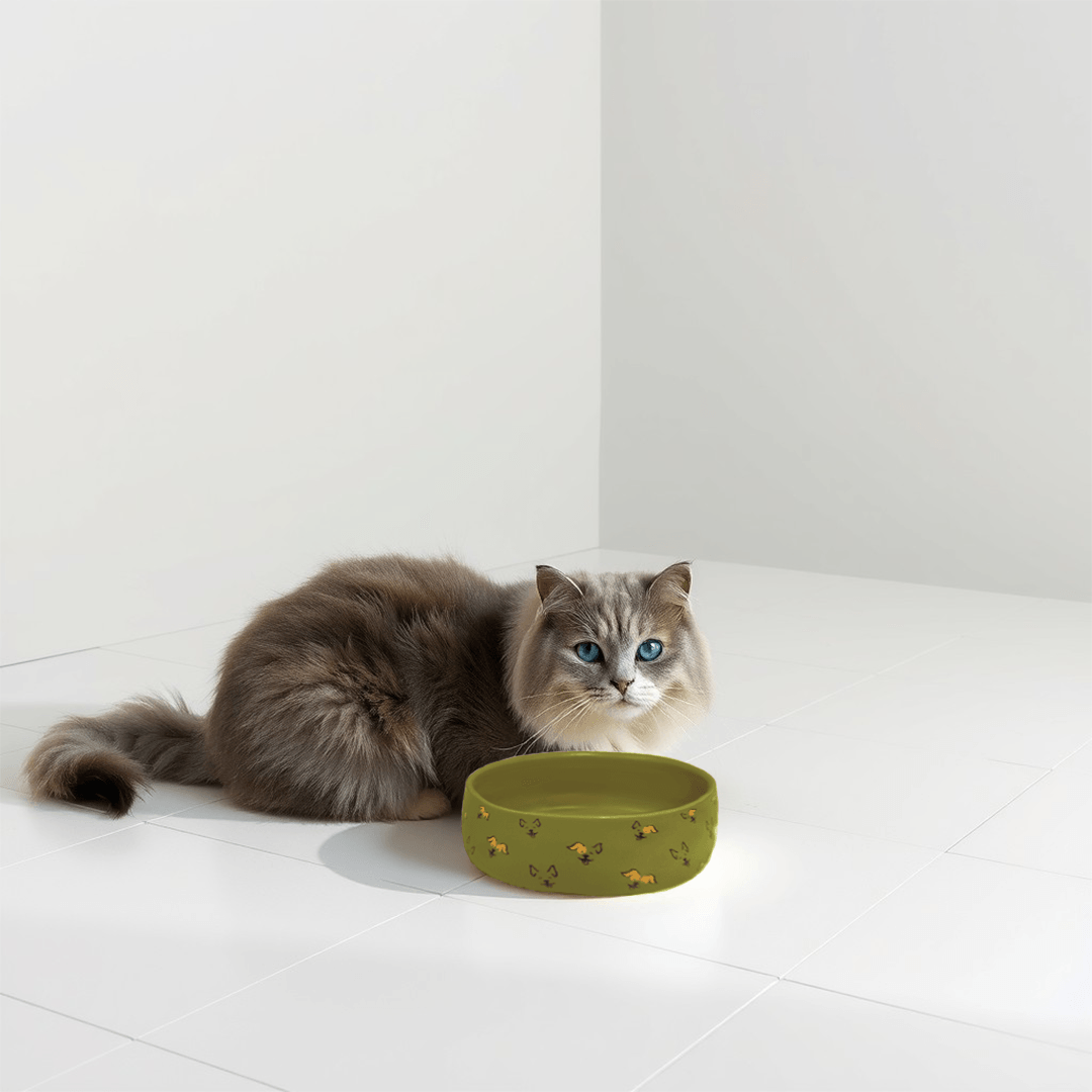 Petcocious 5 Inch Javi Pet Bowl Olive - (Set of 2)