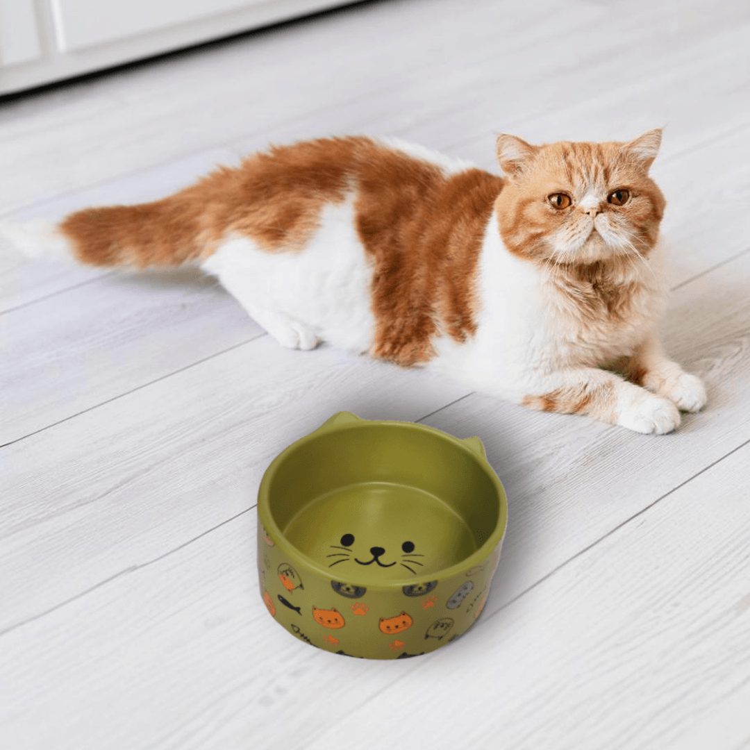 Petcocious 5 Inch Kate Cat Bowl Olive - (Set of 2)
