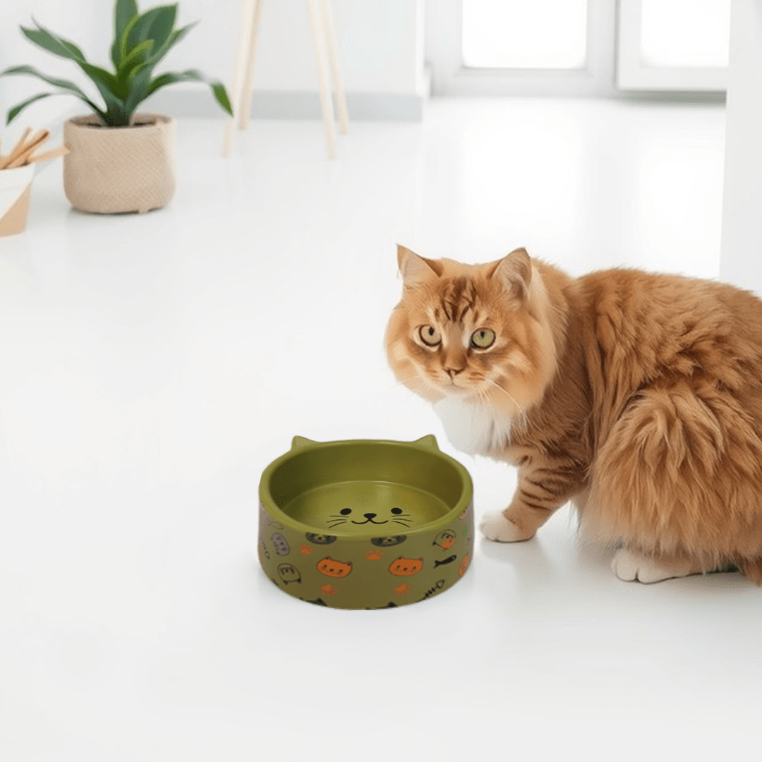 Petcocious 5 Inch Kate Cat Bowl Olive - (Set of 2)